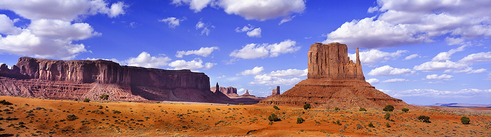 Desert Landscape